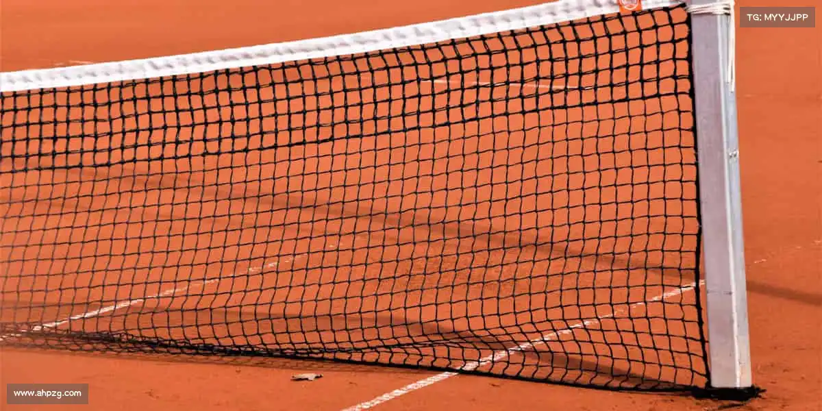 为什么选择我们